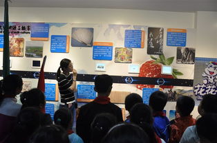 走進(jìn)花花牛透明工廠 探索乳制品文化的奇妙旅程