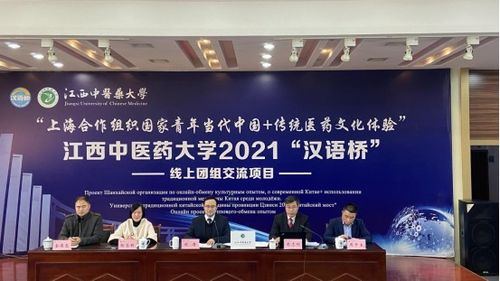 文化交融，故事傳揚 國際教育學院以品牌活動為橋，助推全球文化認同